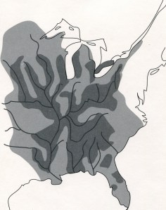 (Image: Distribution of Earthworks, p. xi)