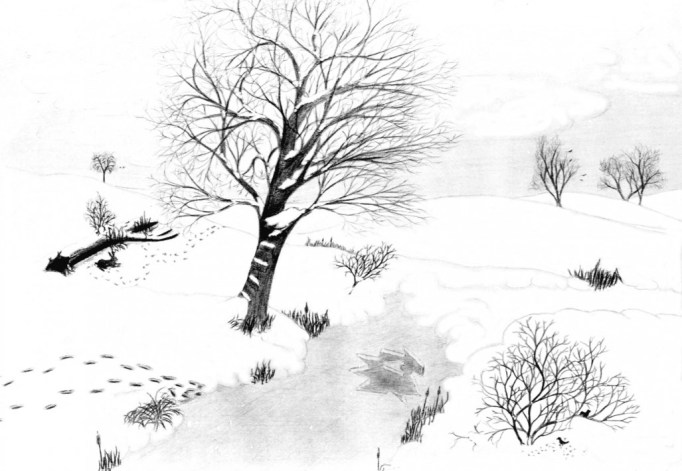 Winter Scene